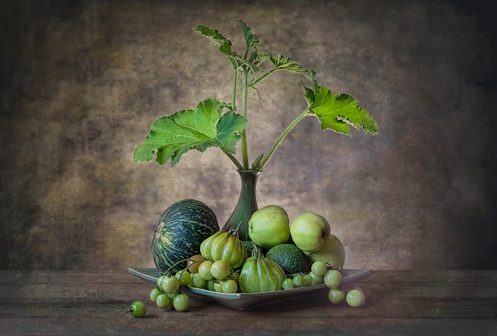 Abundant Green Still Life by Lydia Jacobs — canvas wall art