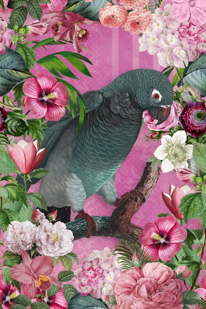 Tropical Parrot Bloom by Andrea Haase — canvas wall art