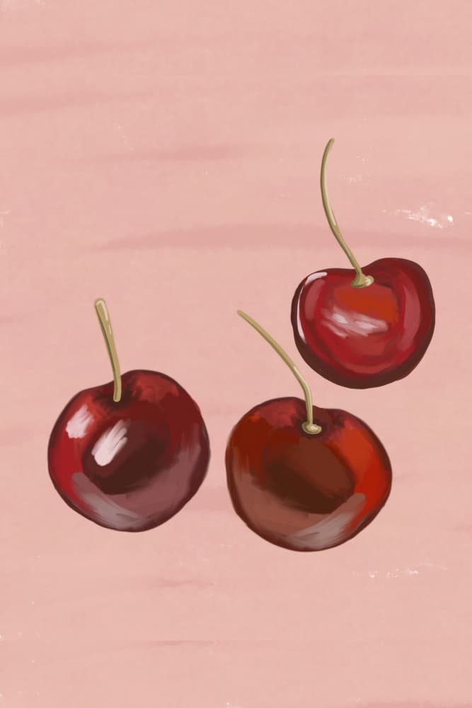 Freshcherrys by Treechild — canvas wall art