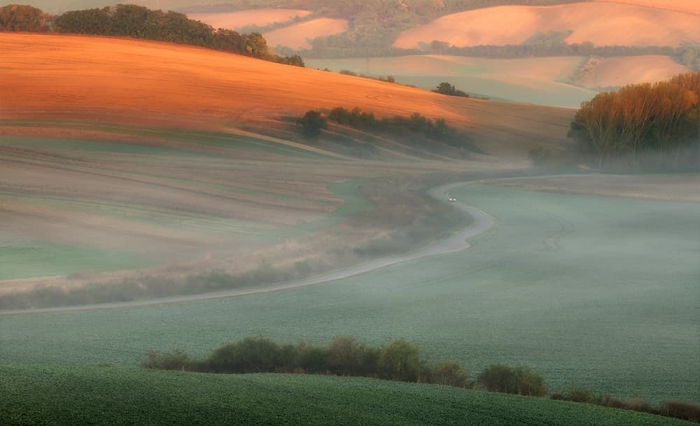Golden Light Over Misty Fields by Piotr Krol (Bax) — canvas wall art