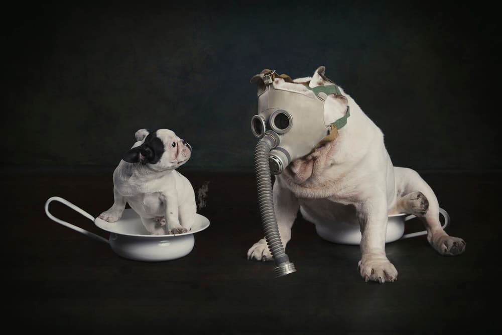 Gas Mask Potty Training by Carola Kayen-Mouthaan — canvas wall art