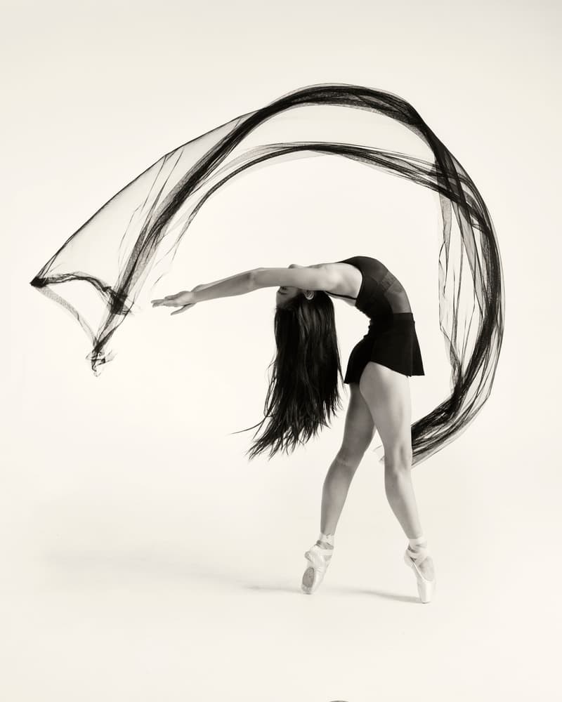 Ballet Dancer Flowing Arch by Rob Li — canvas wall art