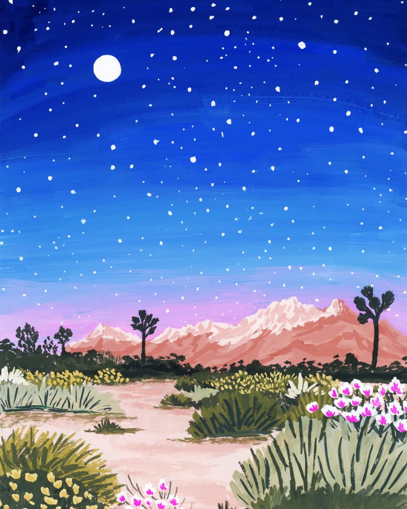 Desert Starry Night by Sarah Gesek — canvas wall art