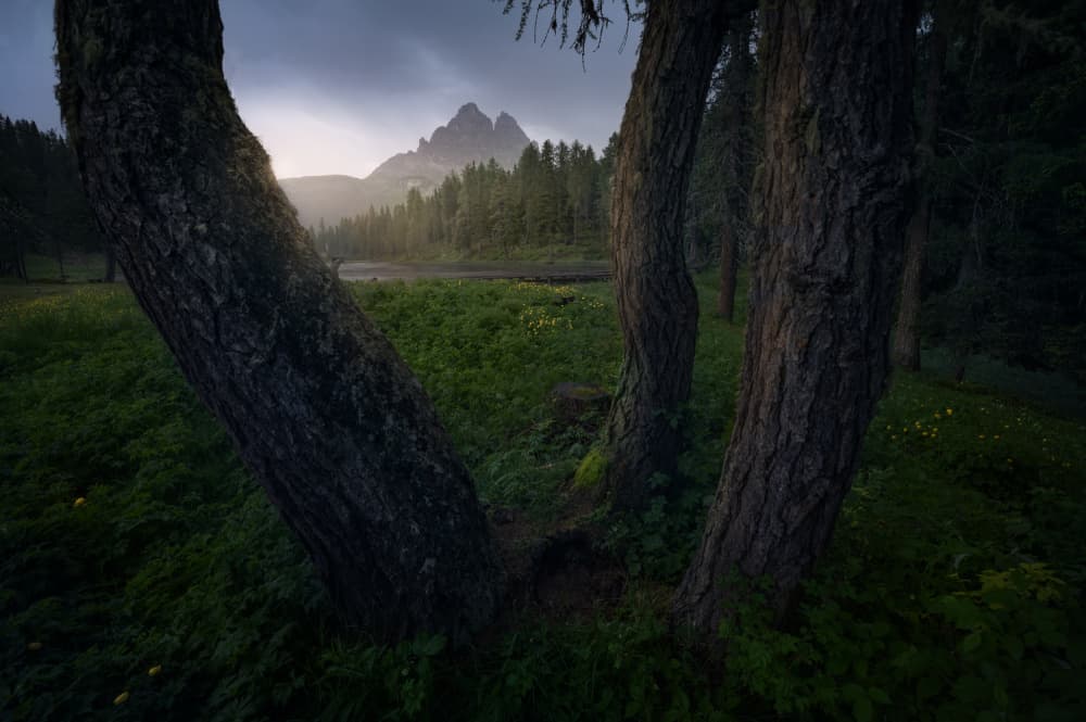 Framed Forest Mountain by David Martin Castan — canvas wall art