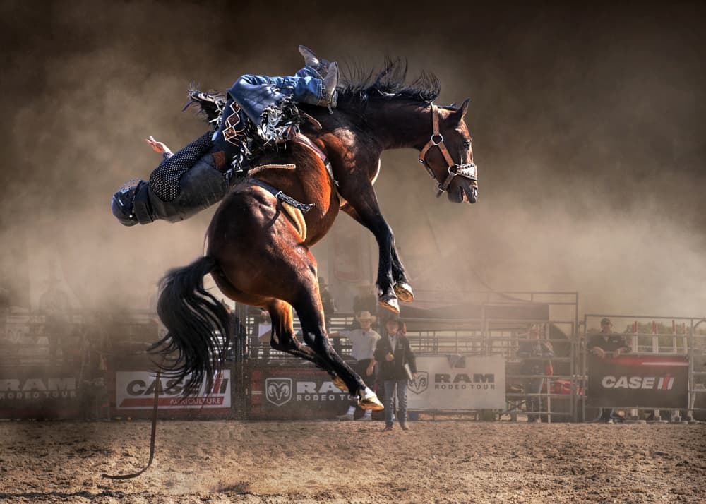 Bucking Horse Action by Louie Luo — canvas wall art