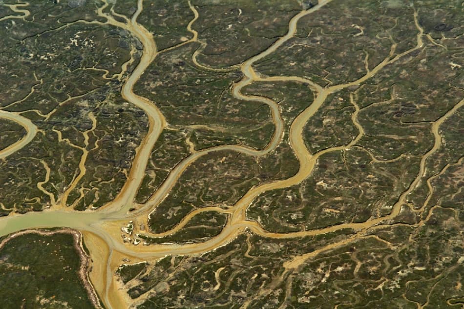 Winding River Delta by Jure Kravanja — canvas wall art