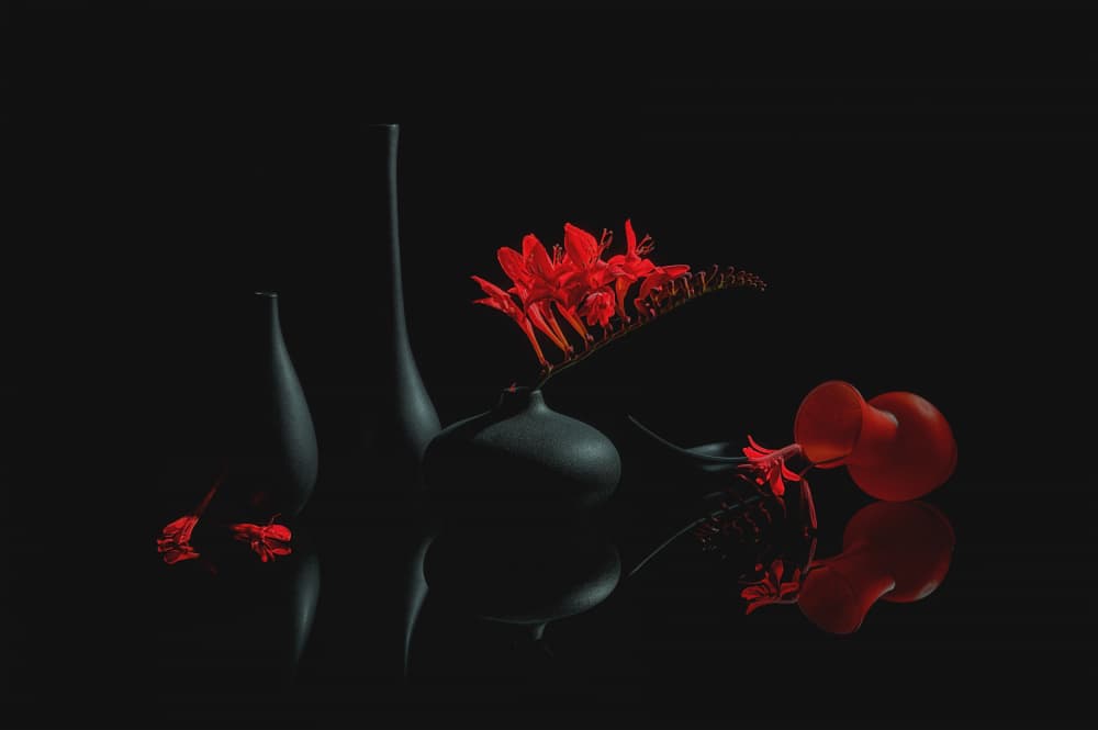 Crimson Blooms Black Vases by Lydia Jacobs — canvas wall art