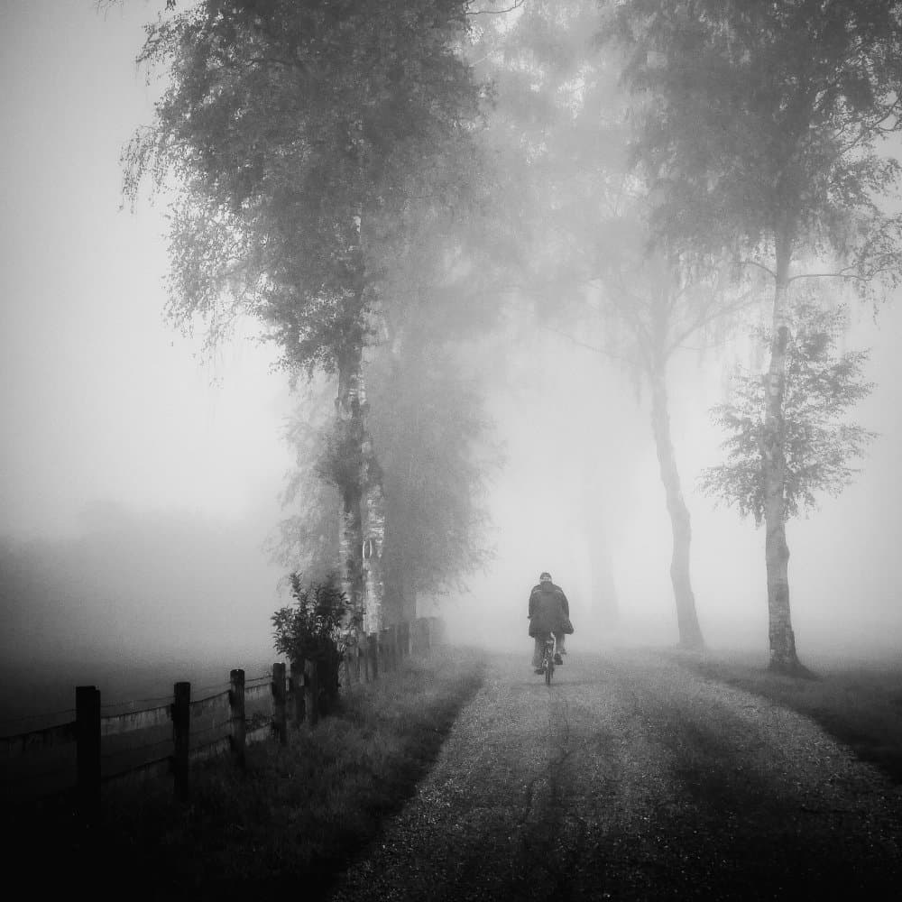 Misty Morning Ride by Renate Wasinger — canvas wall art