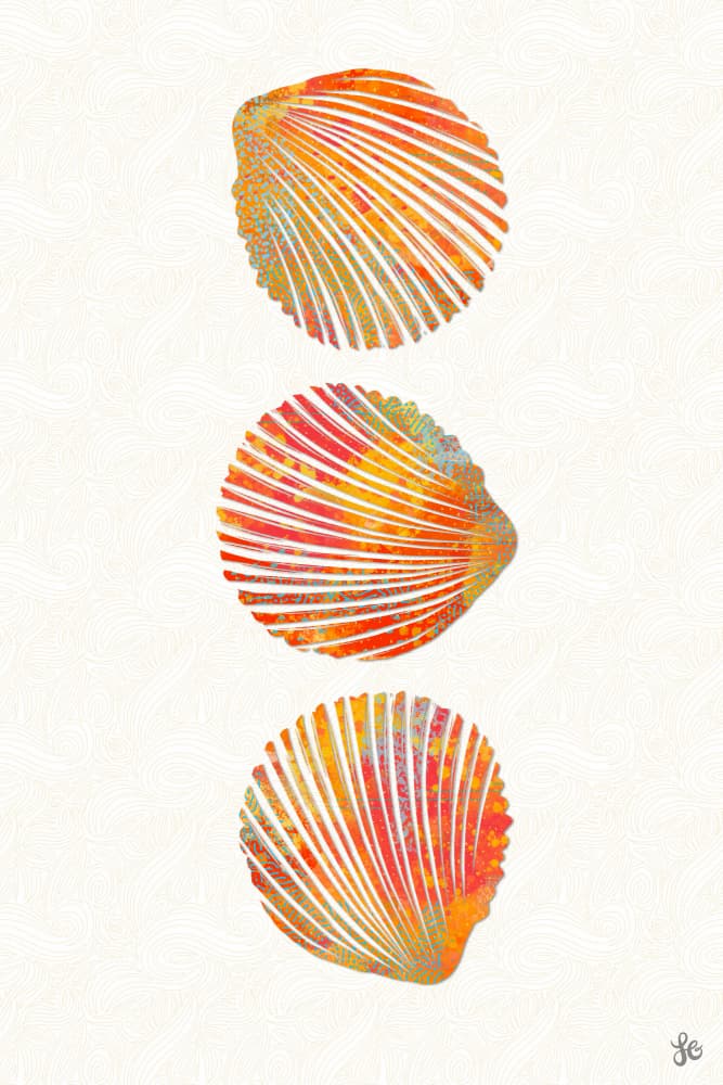 Vibrant Seashells by Laura H Gibson — canvas wall art