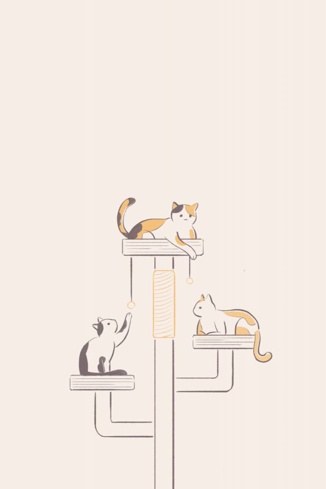 Playful Cats Relax by Xuan Thai — canvas wall art