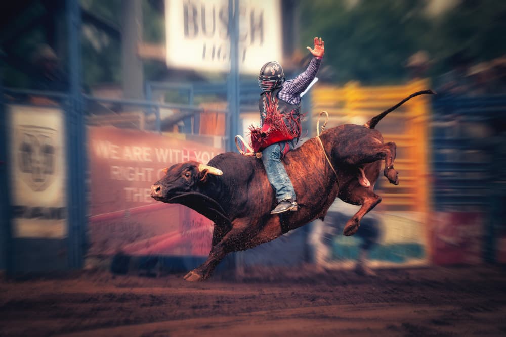 Intense Bull Ride by Robert Zhang — canvas wall art