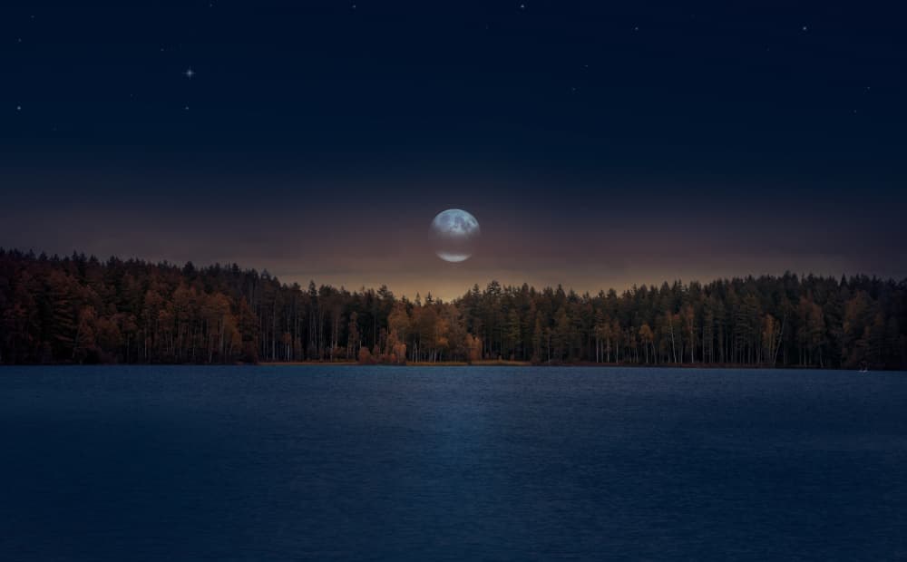 Moonlit Forest Lake by Nikki Georgieva V E G A N I K — canvas wall art