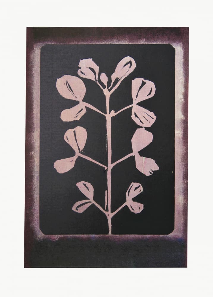 Dark Botanical Silhouette by Doris Schmitz — canvas wall art