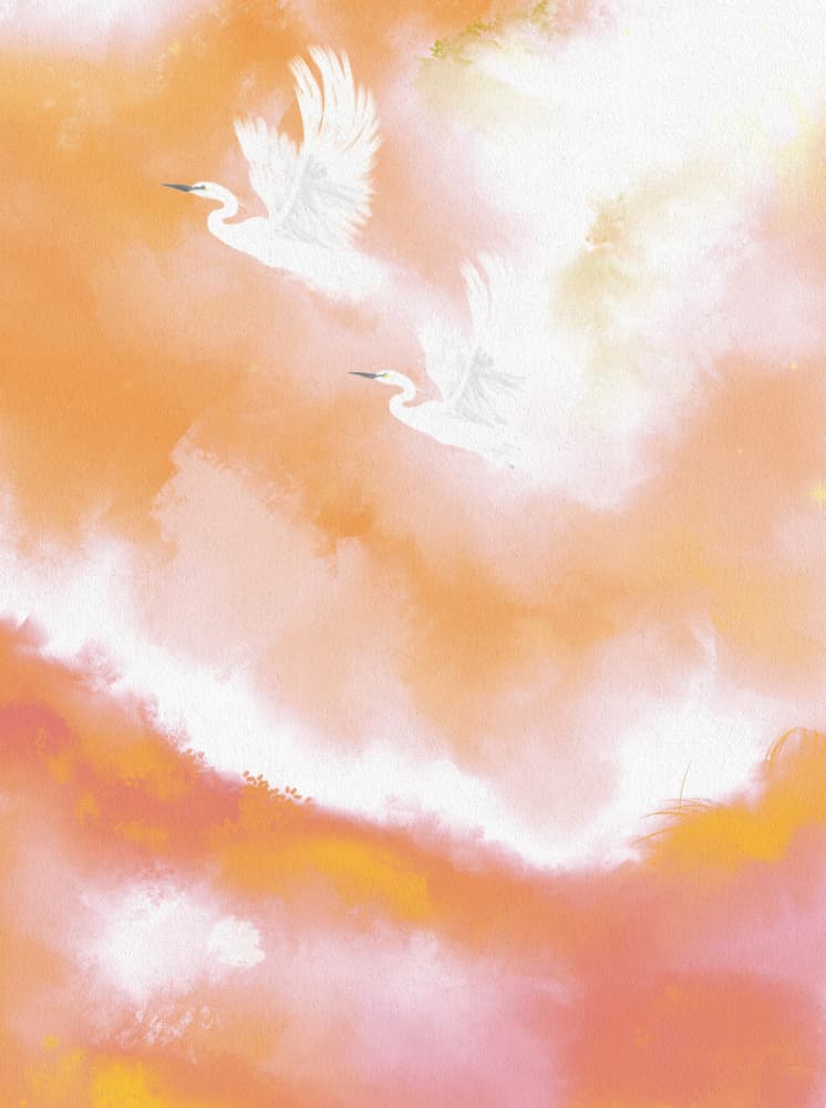 Egrets In Dreamy Sky by Josie George — canvas wall art
