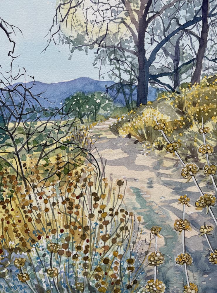 Tranquil Nature Trail by Luisa Millicent — canvas wall art