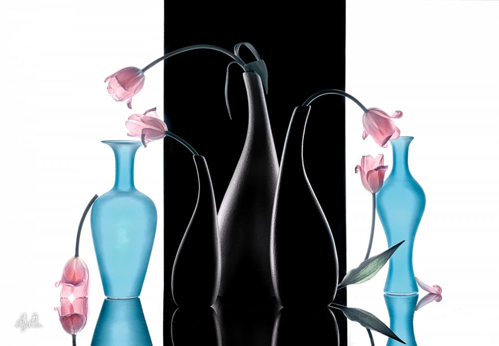 Contrasting Floral Vases by Lydia Jacobs — canvas wall art