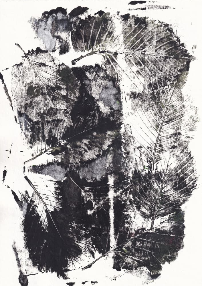 Monochrome Botanical Impressions by Maira Ribena — canvas wall art