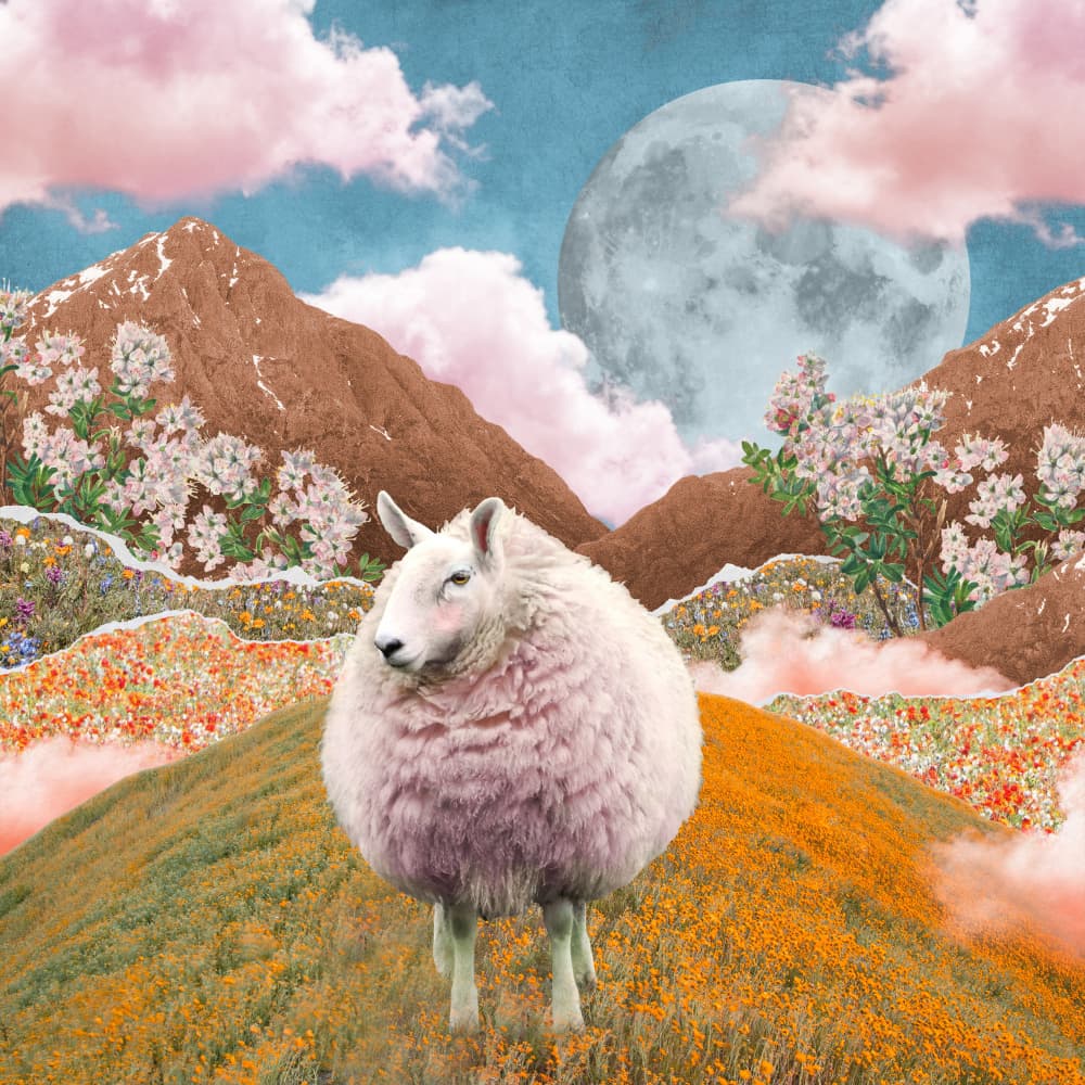 Landscapes With Sheep by Marja van den Hurk — canvas wall art