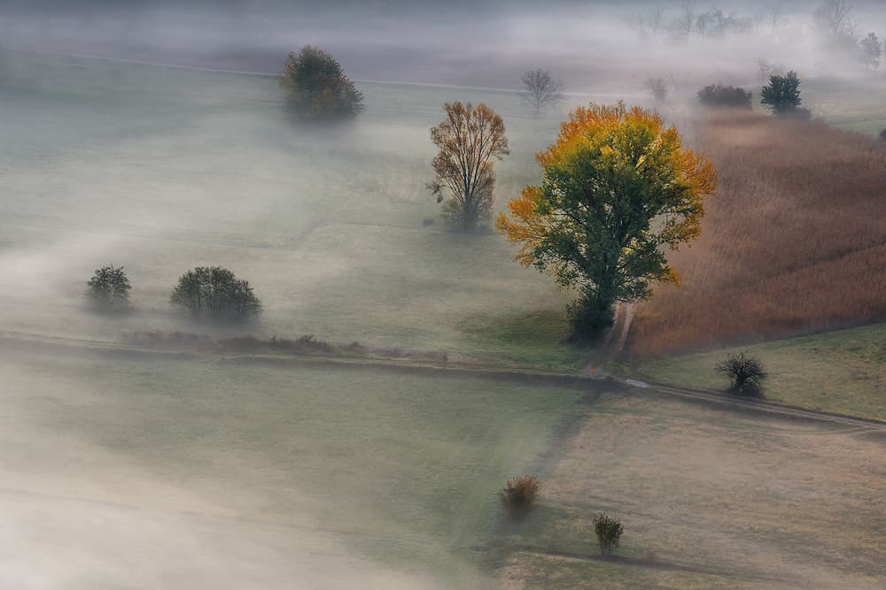 Misty Autumn Morning by Roberto Marini — canvas wall art