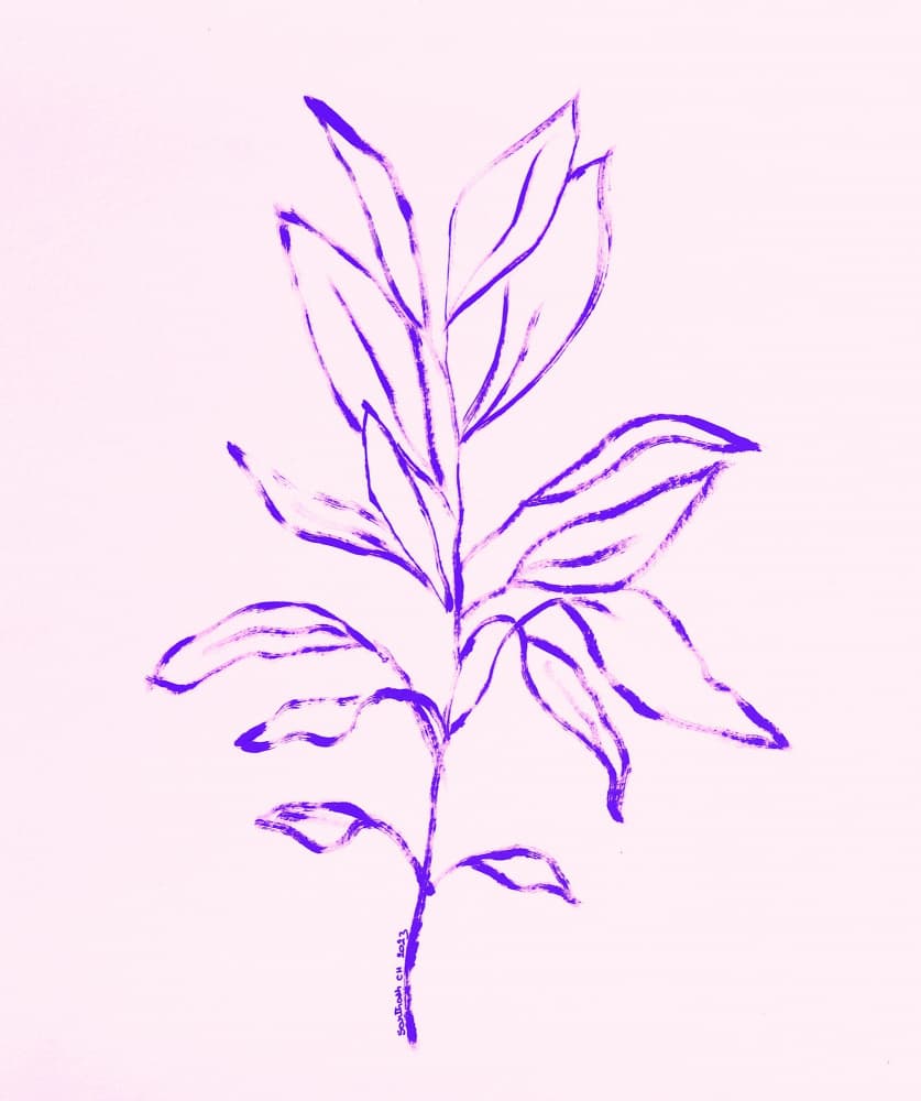 Minimalist Botanical Sketch by Santhosh ch — canvas wall art