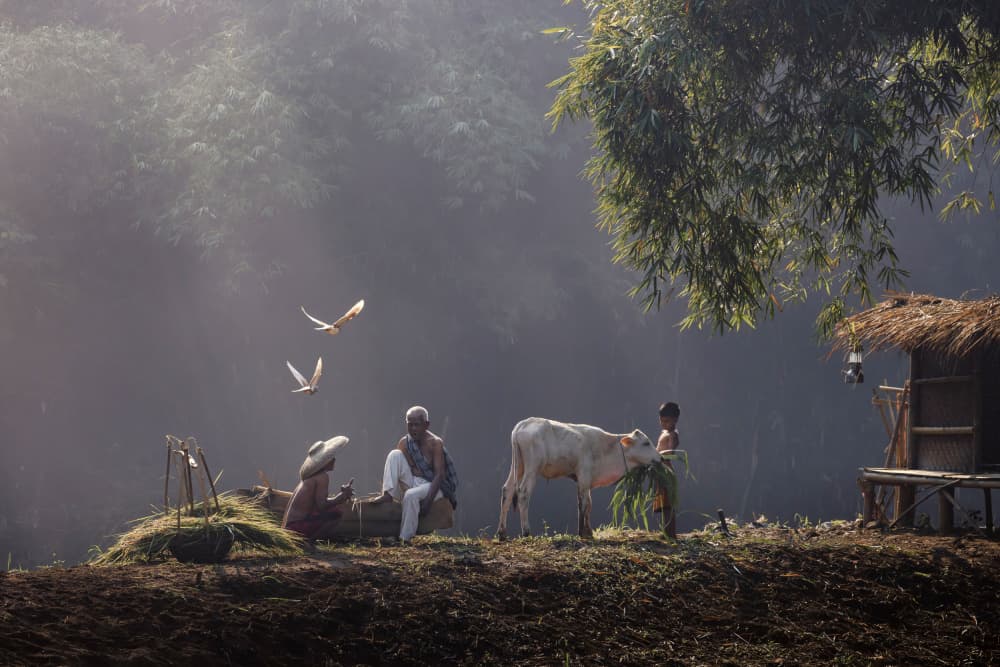 Misty Village Morning by Sally Widjaja — canvas wall art