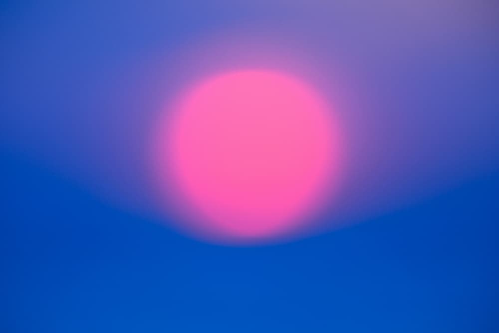 Pink Sun Glow by Tal Paz-Fridman — canvas wall art