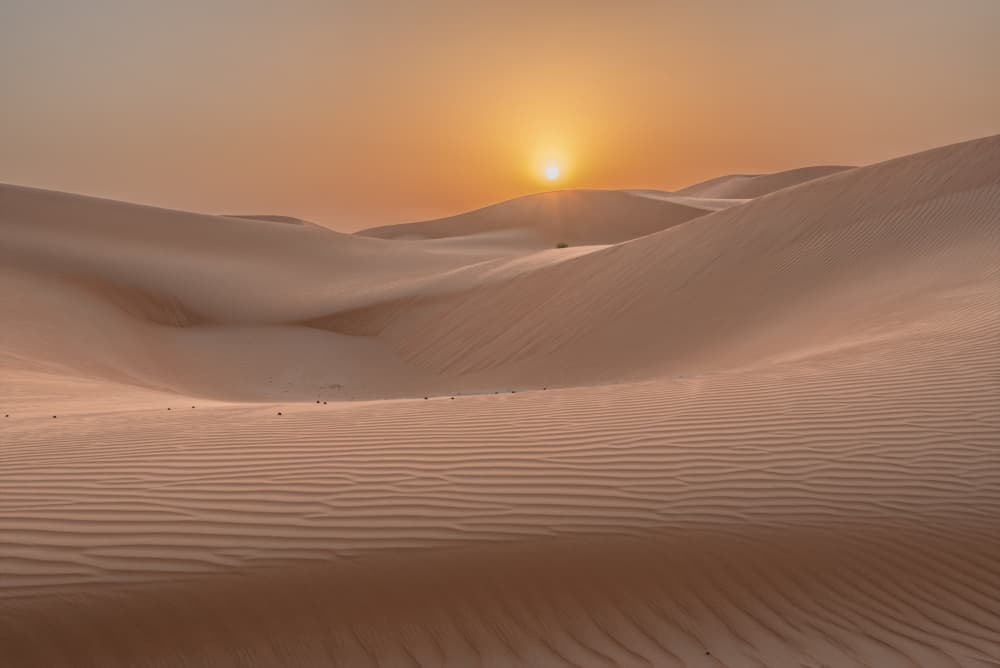 Golden Desert Sunset by Mrinal Nath — canvas wall art