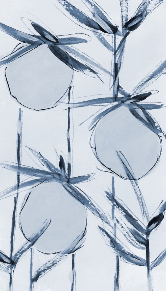 Serene Cotton Stems by Lori Ann Folz — canvas wall art