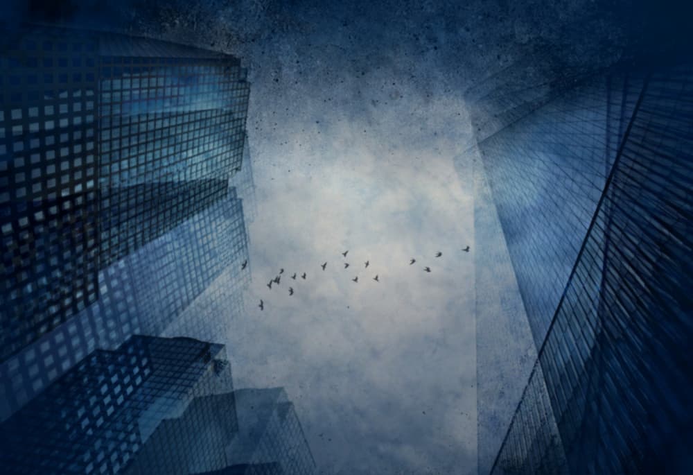 Blue City Sky Birds by Robert Fabrowski — canvas wall art