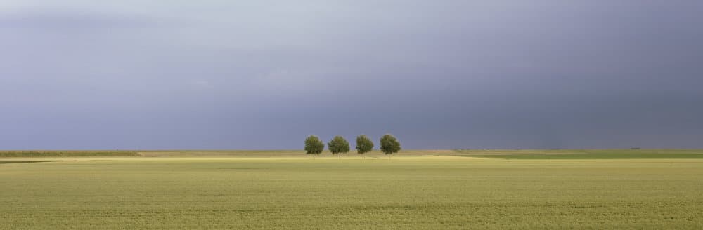 Vast Field Dramatic Sky by Max Witjes — canvas wall art