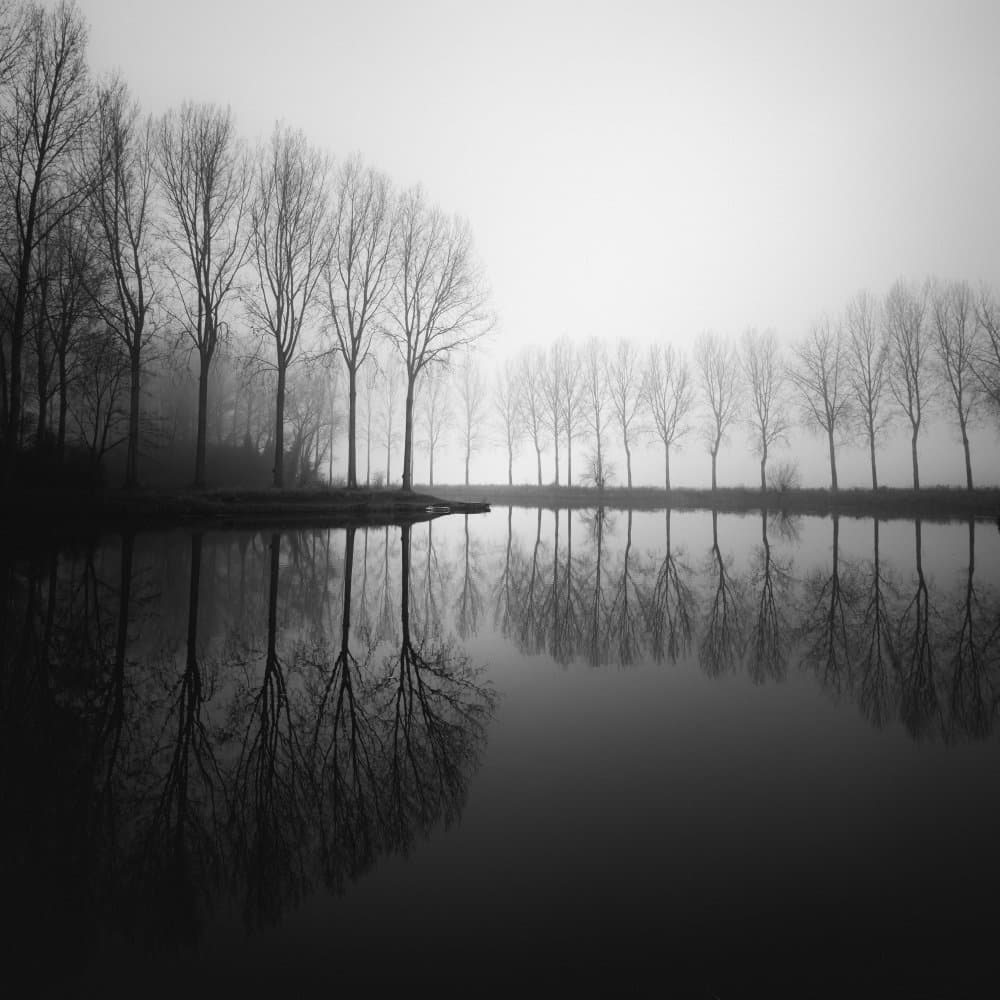 Misty Tree Reflections by Christophe Staelens — canvas wall art