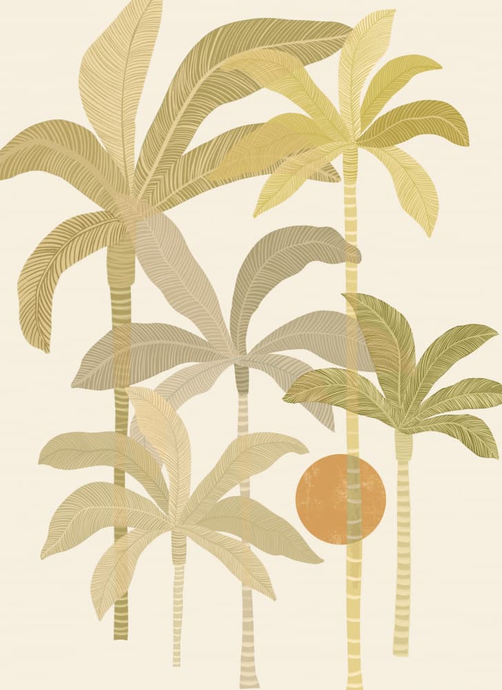 Warm Tropical Palms by Kristian Gallagher — canvas wall art
