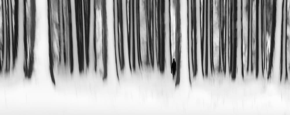 Solitary Winter Walk by Burger Jochen — canvas wall art