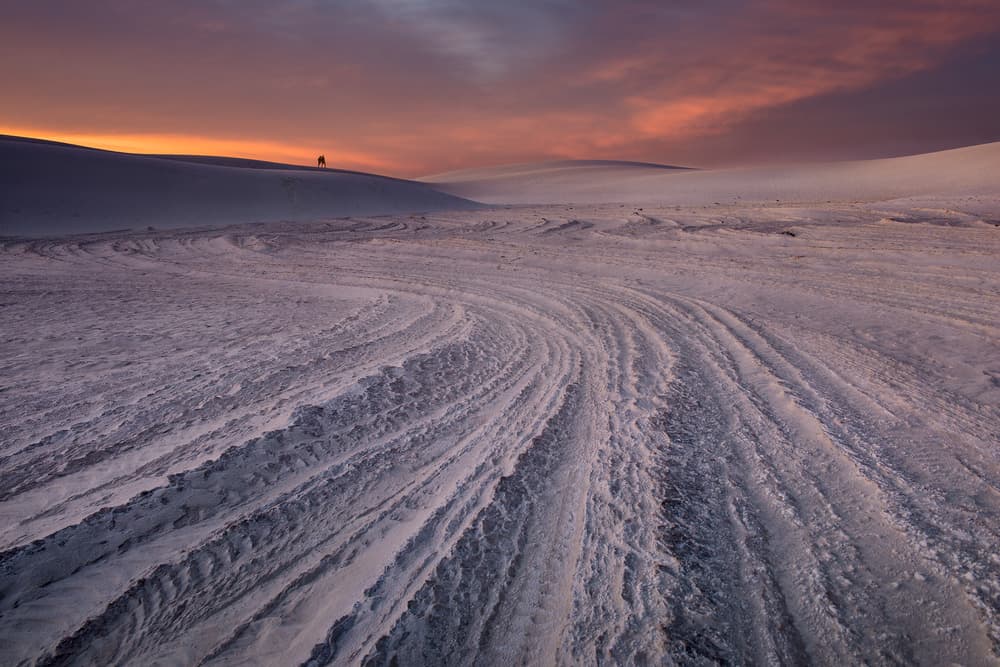 Vast Winter Sunset by Shenshen Dou — canvas wall art