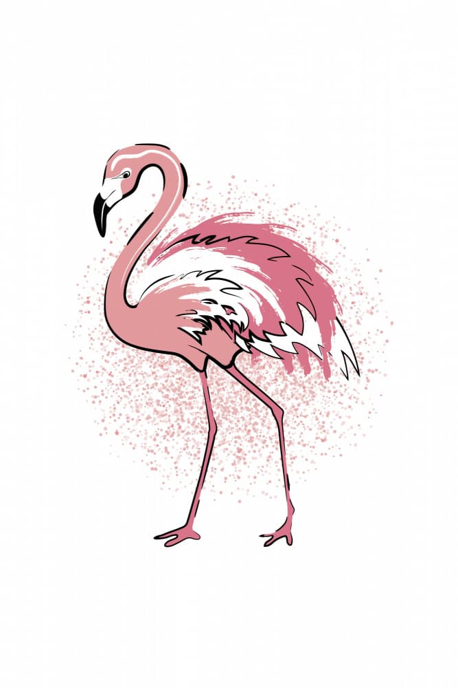 Pink Flamingo Splash by Martina — canvas wall art