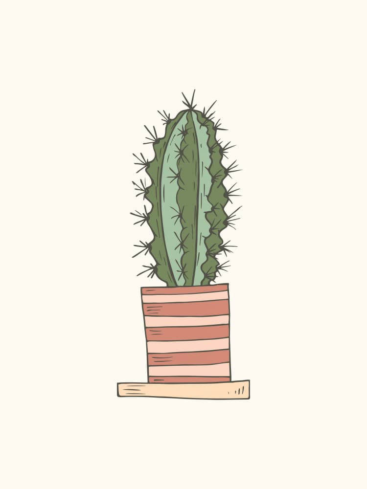 Potted Cactus Drawing by Olena Kovalova — canvas wall art