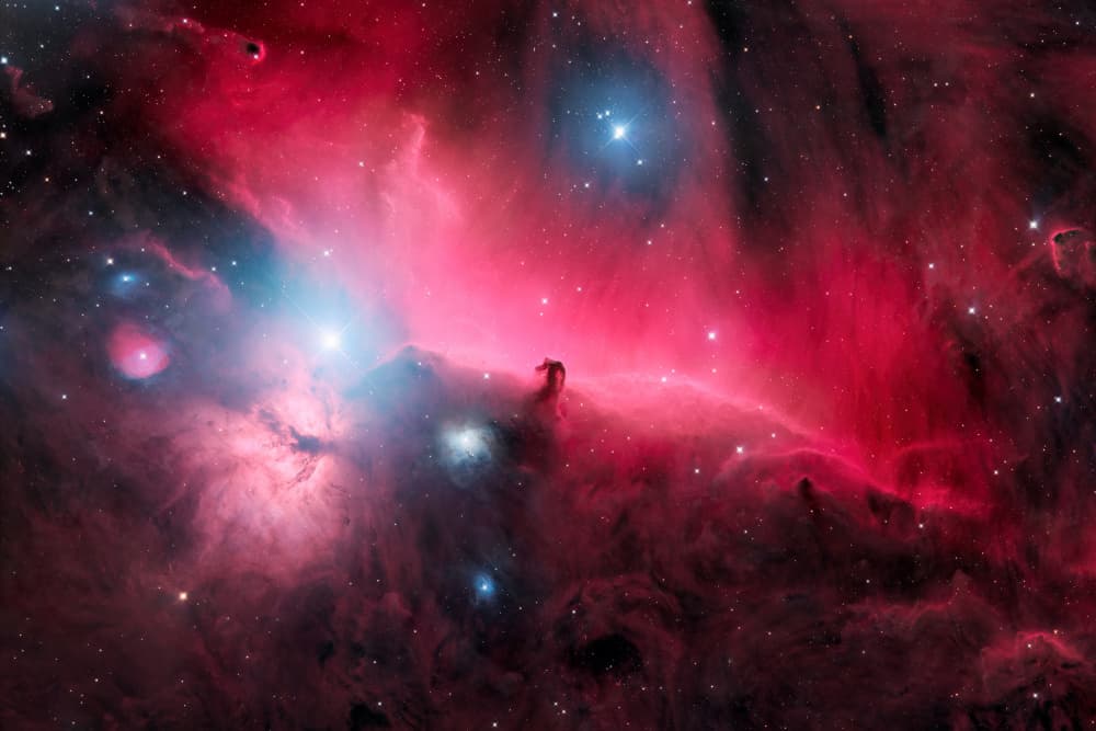 Horsehead Nebula Cosmic Glow by Vikas Chander — canvas wall art
