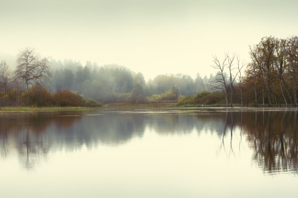 Misty Lake Reflection by Ulrike Eisenmann — canvas wall art