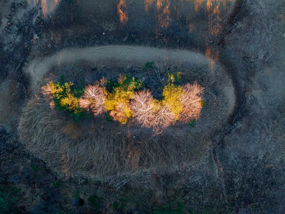 Golden Autumn Tree Island by Jure Kravanja — canvas wall art