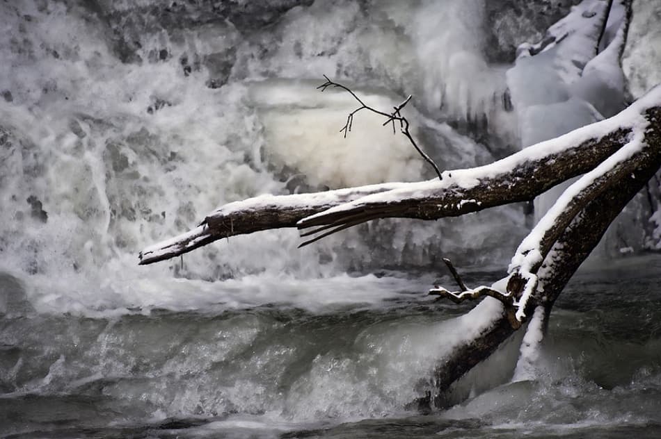 Icy River Branches by Jure Kravanja — canvas wall art