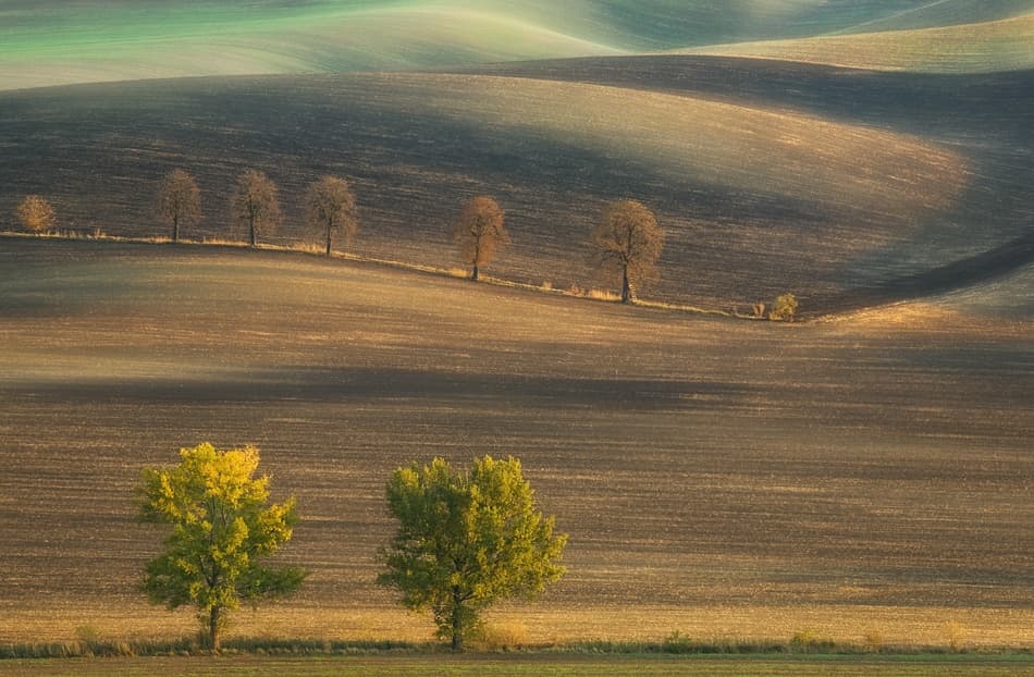 Rolling Autumn Fields by Krzysztof Browko — canvas wall art