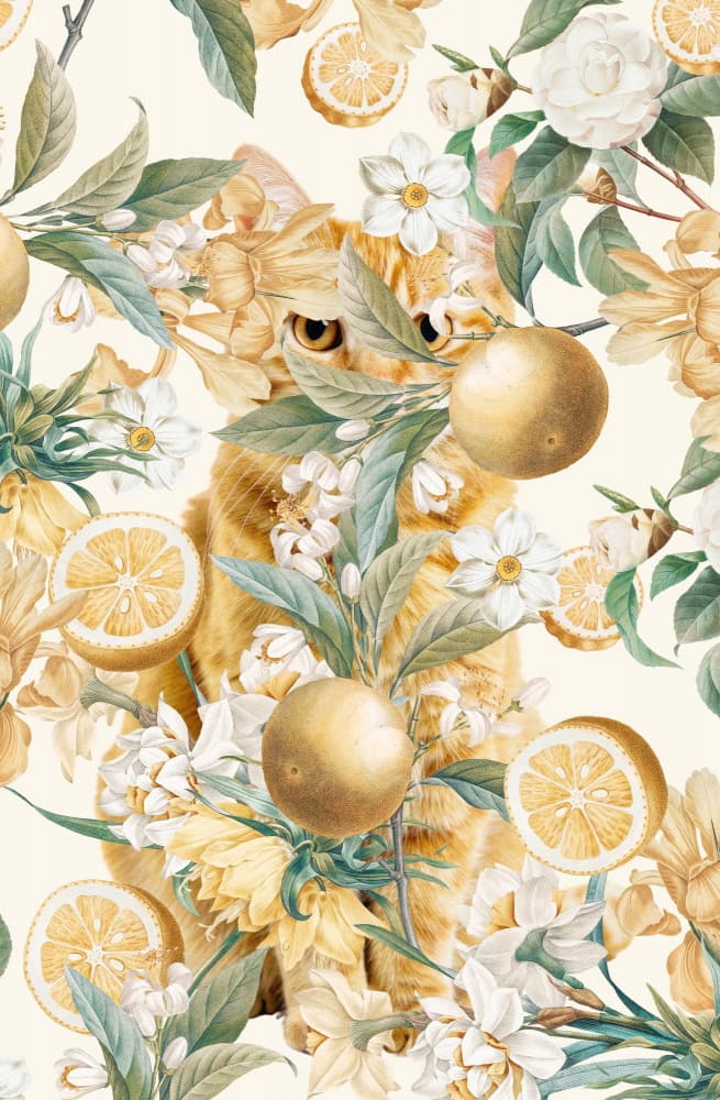 Ginger Cat Citrus Garden by Marja van den Hurk — canvas wall art