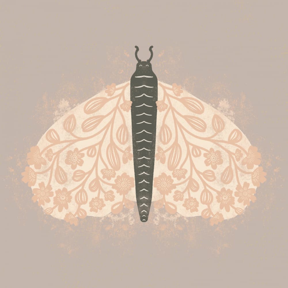 Decorative Moth art by Nikita Jariwala — canvas wall art