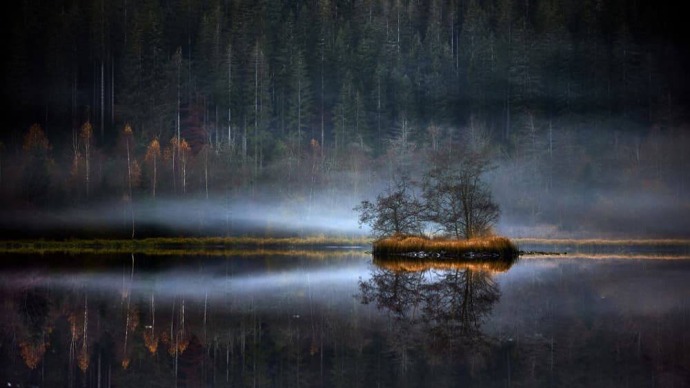 Misty Island Lake by Peter Schade — canvas wall art