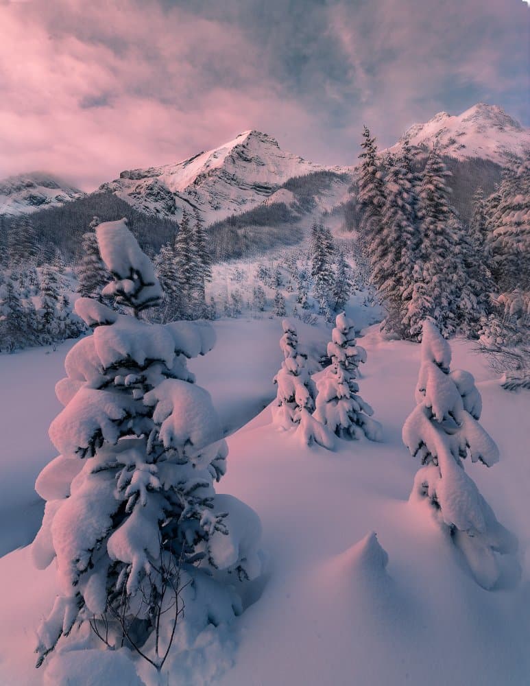 Snowy Peaks Pink Sky by Liwen Tao — canvas wall art