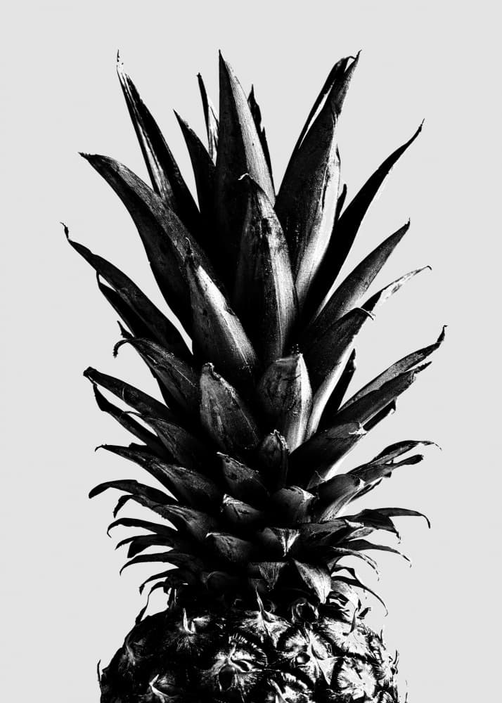Black White Pineapple Crown by Pictufy Studio III — canvas wall art