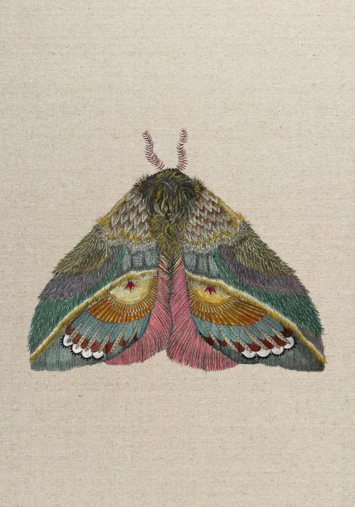 Vibrant Stitched Moth by ZAM.ROD — canvas wall art