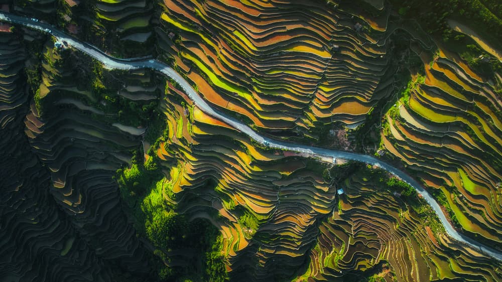 Winding Road Terraced Fields by TIANQI — canvas wall art