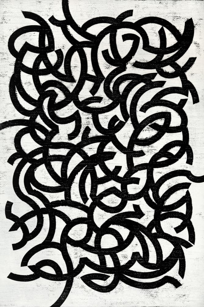 Tangled Black Curves by Petr Strnad — canvas wall art