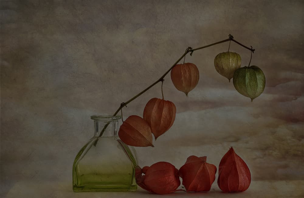 Quiet Autumn Lanterns by Marie-anne Stas — canvas wall art